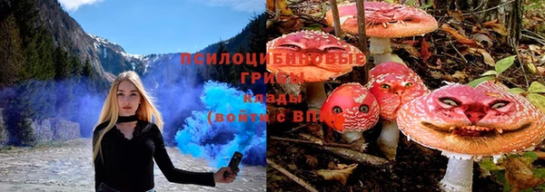 МДПВ Абинск