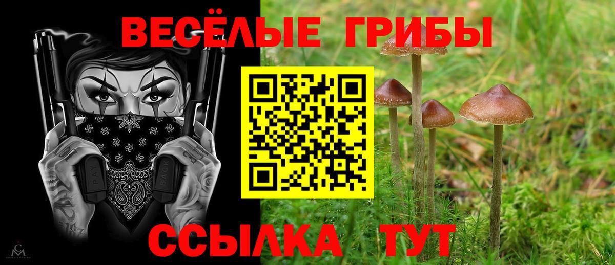 Галлюциногенные грибы мухоморы Омск